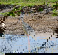Darwin to Kakadu Day Trip by Air Including Yellow Water Cruise - Accommodation NSW