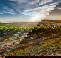 Perth to Margaret River Wine Tour - 2 Day Premium Boutique Wine Tour Experience - Accommodation NSW