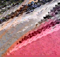 7-Day Exmouth Explorer via Pinnacles Monkey Mia Ningaloo Reef returning to Perth - Accommodation NSW