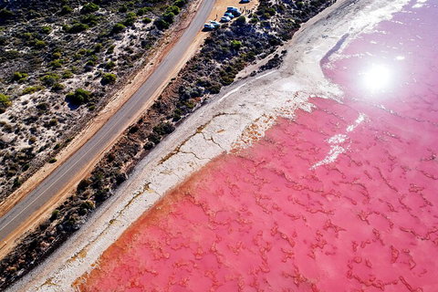 7-Day Exmouth Explorer Via Pinnacles Monkey Mia Ningaloo Reef Returning To Perth - Accommodation NSW 0