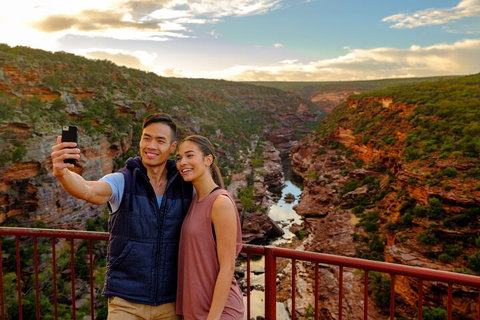 7-Day Exmouth Explorer Via Pinnacles Monkey Mia Ningaloo Reef Returning To Perth - Accommodation NSW 5