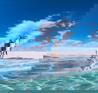 4-Day Coastal Loop via Monkey Mia Wild Dolphins Kalbarri Pinnacles Perth Return - Accommodation NSW