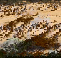 Pinnacles Sunset Dinner and Stargazing Experience a Small Group Tour - Accommodation NSW