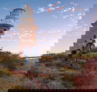 6-Day Coral Coaster from Perth to Exmouth One-Way via Monkey Mia Ningaloo Reef - Accommodation NSW