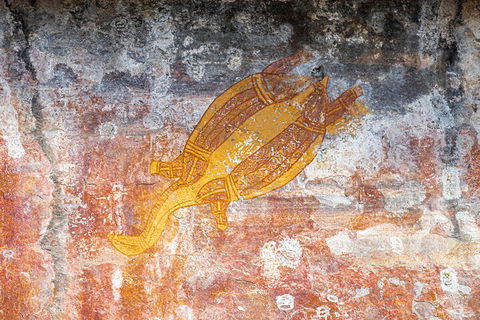 Kakadu Wilderness Escape - Top End Day Tour From Darwin - Accommodation NSW 2