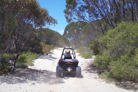 Kangaroo Island Quad Bike (ATV) Tours - Accommodation NSW 4