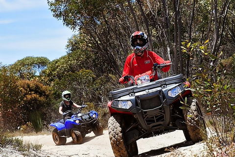 Kangaroo Island Quad Bike (ATV) Tours - Accommodation NSW 5
