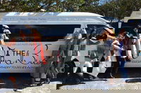 Mount Tamborine Wine Tasting Tour from Brisbane or the Gold Coast, Surfers Paradise