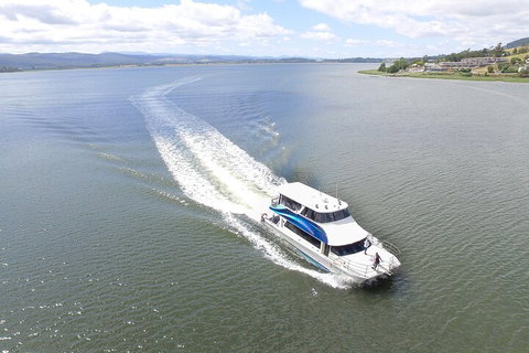 2.50 Hour Afternoon Discovery Cruise Including Cataract Gorge Departing At 3 Pm - Accommodation NSW 0