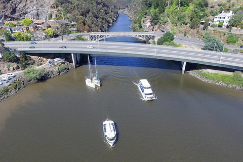 2.50 Hour Afternoon Discovery Cruise Including Cataract Gorge Departing At 3 Pm - Accommodation NSW 1