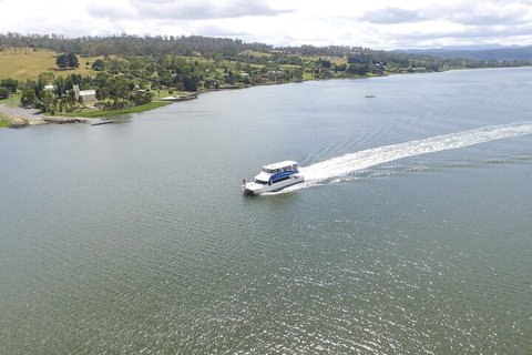 2.50 Hour Afternoon Discovery Cruise Including Cataract Gorge Departing At 3 Pm - Accommodation NSW 4