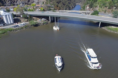 2.50 Hour Afternoon Discovery Cruise Including Cataract Gorge Departing At 3 Pm - Accommodation NSW 5