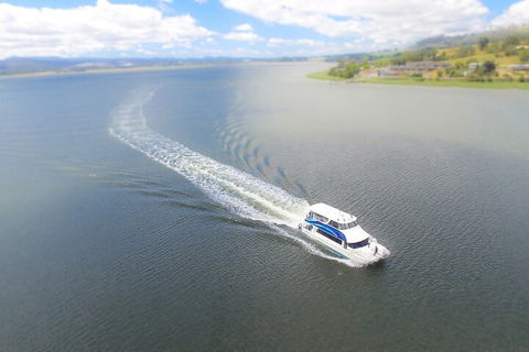 2.5 Hour Afternoon Discovery Cruise Including Cataract Gorge Departs At 1: 30 Pm - Accommodation NSW 0