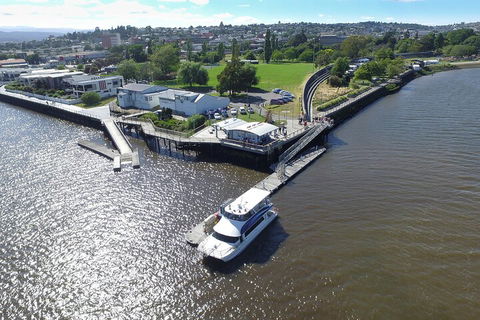 2.5 Hour Afternoon Discovery Cruise Including Cataract Gorge Departs At 1: 30 Pm - Accommodation NSW 3