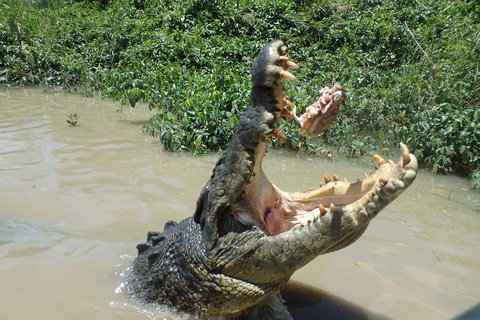 Litchfield And Jumping Crocodiles Full Day Trip From Darwin - Accommodation NSW 3