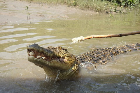 Litchfield And Jumping Crocodiles Full Day Trip From Darwin - Accommodation NSW 4