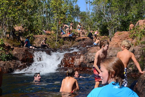 Litchfield And Jumping Crocodiles Full Day Trip From Darwin - Accommodation NSW 5