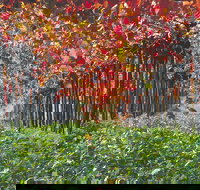 Margaret River Private Tour - Accommodation NSW