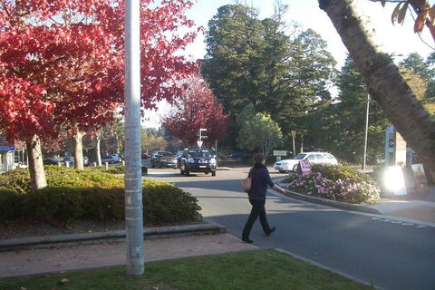 PRIVATE All-Day Blue Mountains Tour With Professional Guide For Up To 4 People - Accommodation NSW 1