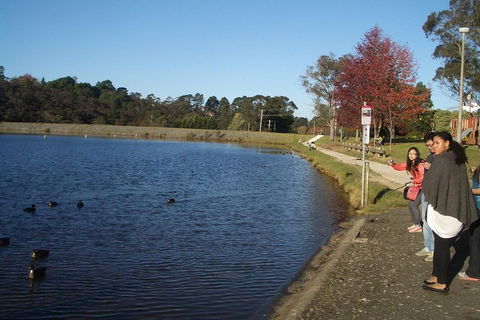 PRIVATE All-Day Blue Mountains Tour With Professional Guide For Up To 4 People - Accommodation NSW 2