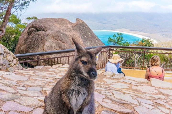  Accommodation NSW