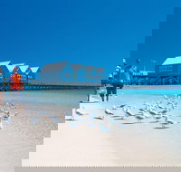 Margaret River and Geographe Bay Region Day Trip from Perth - Accommodation NSW