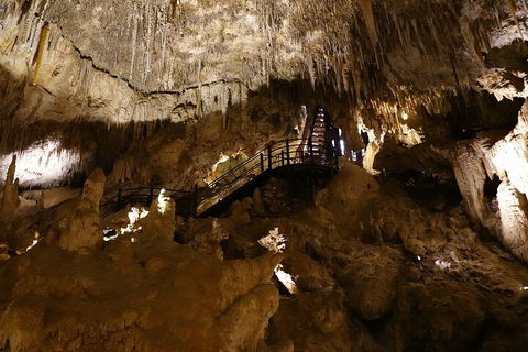 Ngilgi Cave Semi-guided Tour - Accommodation NSW 2