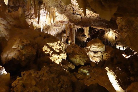 Ngilgi Cave Semi-guided Tour - Accommodation NSW 3