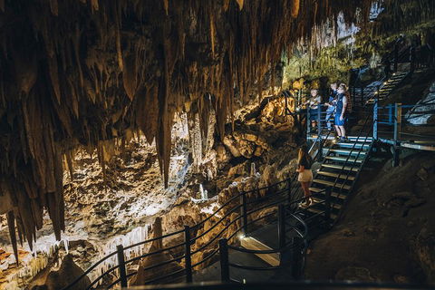 Ngilgi Cave Semi-guided Tour - Accommodation NSW 5