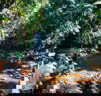 Aquaduck  Your choice of Gold Coast Rainforest Tour - Accommodation NSW
