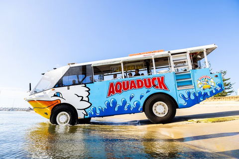 Aquaduck & Your Choice Of Gold Coast Rainforest Tour - Accommodation NSW 3