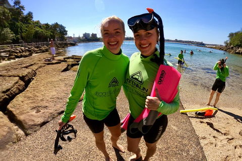 Manly Snorkel Trip And Nature Walk With Local Guide - Accommodation NSW 1