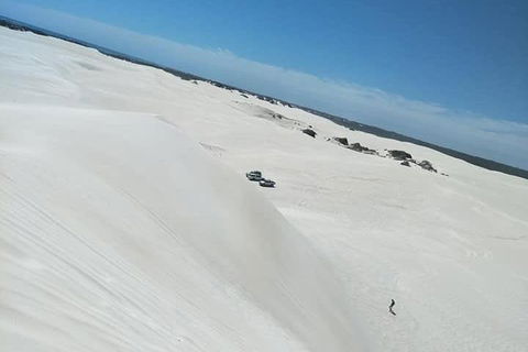Yanchep & Lancelin - Wildlife, Cave And Sands - Accommodation NSW 3
