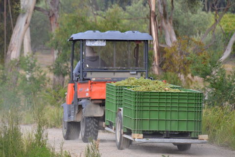 Yarra Valley Private Car Winery Tour And Chocolate.1-7 Passengers One Car Price - Accommodation NSW 1