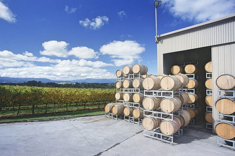 Yarra Valley Private Car Winery Tour And Chocolate.1-7 Passengers One Car Price - Accommodation NSW 2
