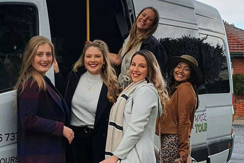 A Full Day Hunter Valley Wine Tasting Tour With Lunch And Tasting Fee's Included - Accommodation NSW 2