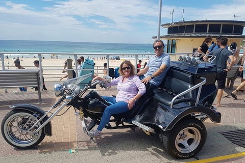 Bondi & Sydney Sights Trike Tour 1.5hrs - Accommodation NSW 0