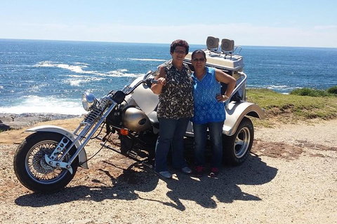 Bondi & Sydney Sights Trike Tour 1.5hrs - Accommodation NSW 1