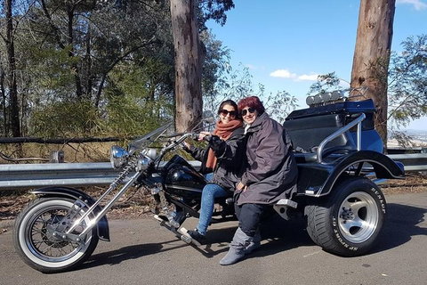 Bondi & Sydney Sights Trike Tour 1.5hrs - Accommodation NSW 3