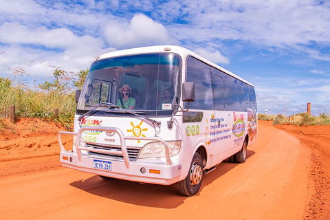 3 In 1 Tour: Matsoâ€™s Brewery, Broome Museum & Malcolm Douglas Crocodile Park - Accommodation NSW 2