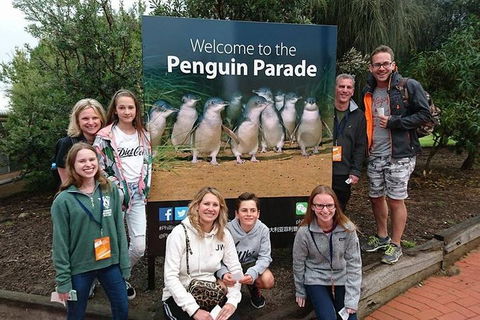 Phillip Island Medium Size Group Tour - Accommodation NSW 5