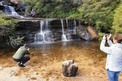 Blue Mountains Small Group Tour Enjoy A Sleep In, Waterfalls, Sunset & Dinner - Accommodation NSW 2