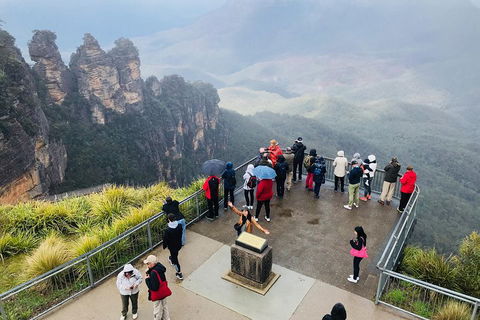 PJ Blue Mountains Supreme Day Tour - Accommodation NSW 1