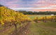 Yarra Valley Boutique Winery Tour From Melbourne - thumb 3