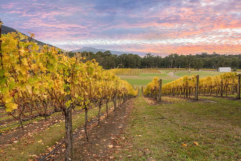 Yarra Valley Boutique Winery Tour From Melbourne - Accommodation NSW 3
