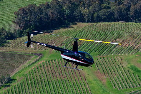 Hunter Valley Wine Country Helicopter Flight From Cessnock - Accommodation NSW 3