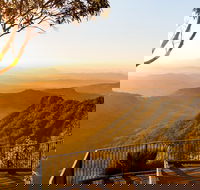 O'Reilly's  Lamington National Park incl. Alpaca Farm  Vineyard - Accommodation NSW