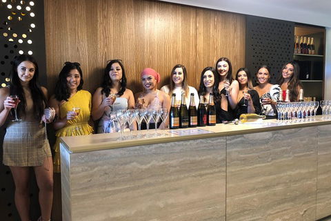 Yarra Valley Public Winery Tours - Accommodation NSW 0
