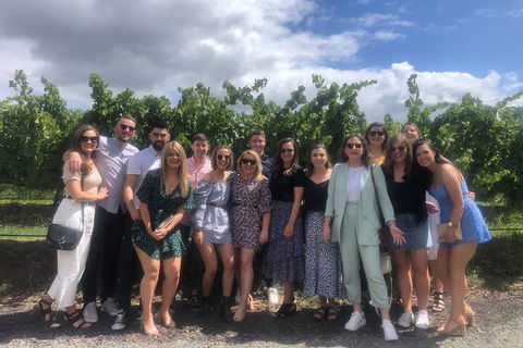 Yarra Valley Public Winery Tours - Accommodation NSW 3