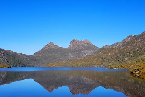 Tasmania 6 Day 'Tour In Circle' - Accommodation NSW 3